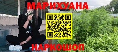 шишки Будённовск