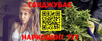 шишки Будённовск