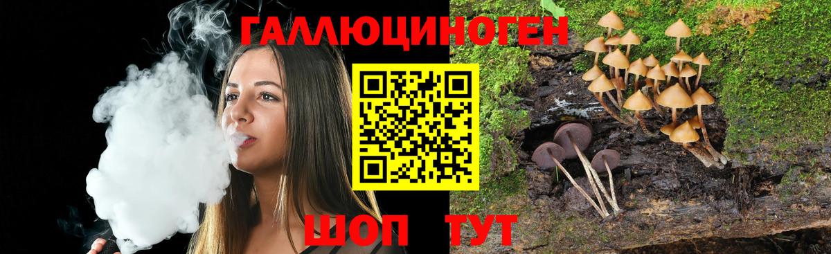 Галлюциногенные грибы MAGIC MUSHROOMS Курчалой