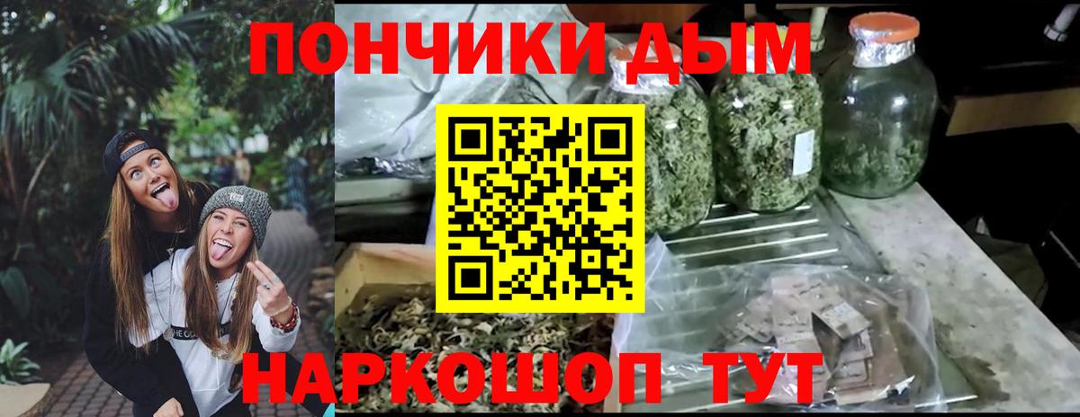 Конопля индика Курчалой